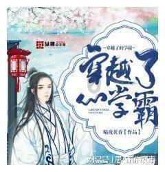 小眠智能睡眠监测垫有用吗？精准监测睡眠「量子慧智」